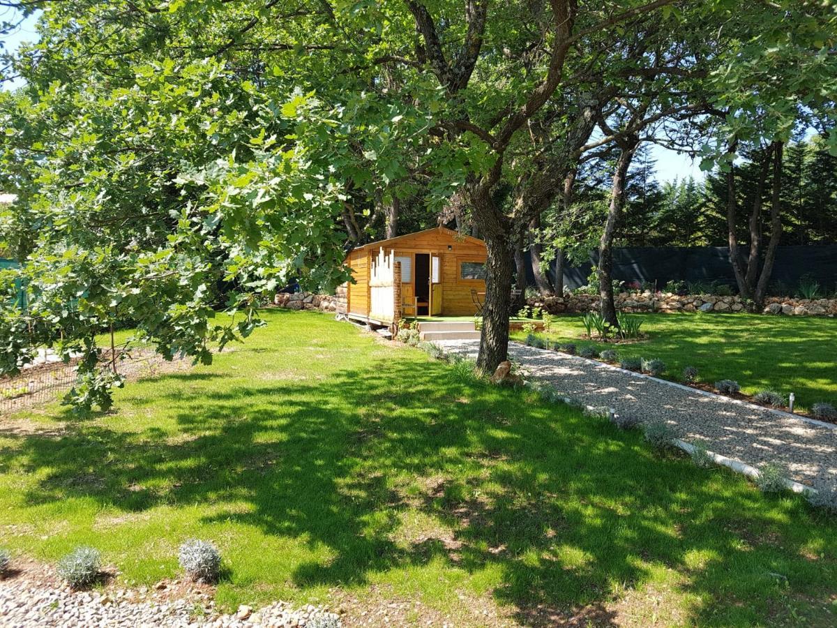 Les Lezards 2 Au Soleil Draguignan Bed and Breakfast Εξωτερικό φωτογραφία